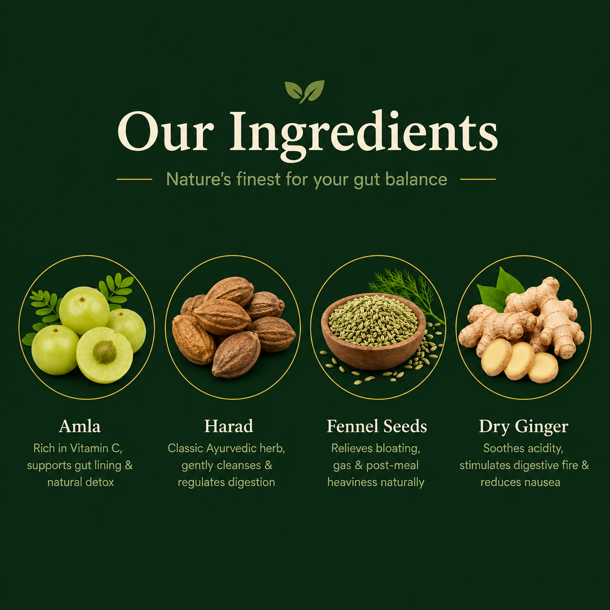 Gutveda Churn - A Trusted Formula for Gas, Heartburn, Digestion & Regular Bowel Cleansing